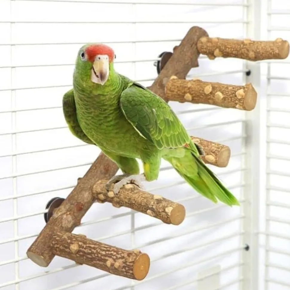 DTOPBUYAGE - Perchoir bois naturel etagé oiseaux