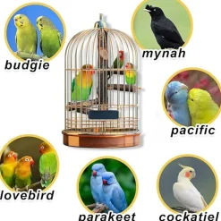 DTOPBUYAGE - Perchoir bois naturel oiseaux