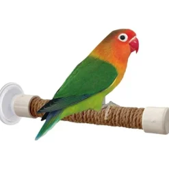 DTOPBUYAGE - Perchoir ventouse accessoire oiseaux