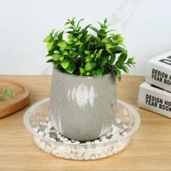 DTOPBUYAGE - Plateaux de soutènement pour pots de plantes transparents 30cm10pcs dtopbuyage
