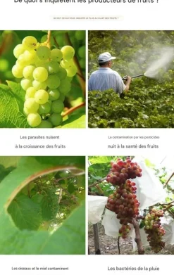DTOPBUYAGE - Sachets de protection pour fruits en non - tissé 15*30cm 50 pièces dtopbuyage