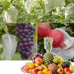 DTOPBUYAGE - Sachets de protection pour fruits en non - tissé épais avec cordon 15*30cm 50 pièces dtopbuyage