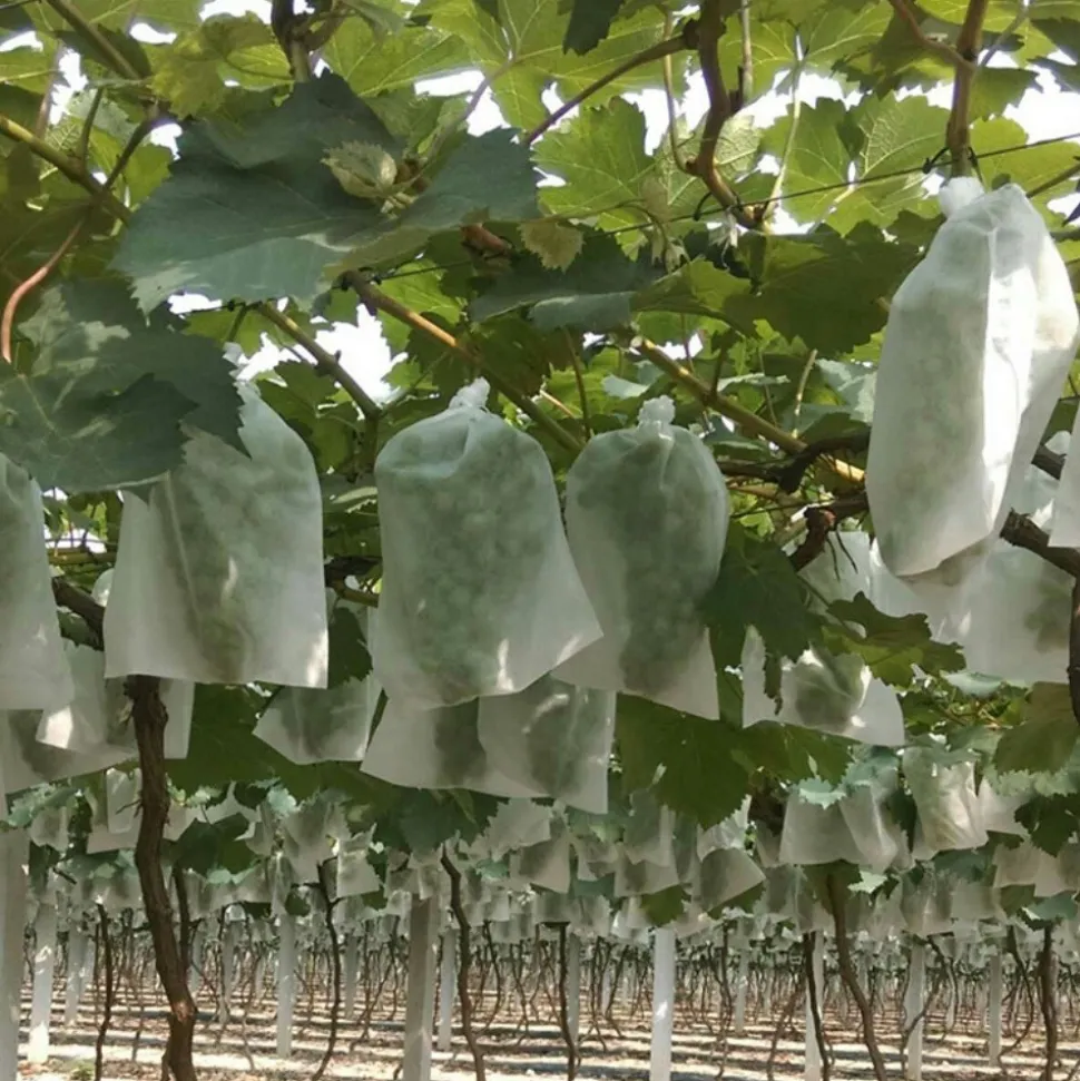 DTOPBUYAGE - Sachets de protection pour fruits en non - tissé épais avec cordon 15*17cm 50 pièces dtopbuyage
