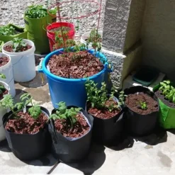 DTOPBUYAGE - Sacs de plantation noirs en non-tissé 15 gallons 5 pièces dtopbuyage