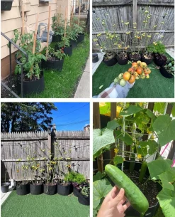 DTOPBUYAGE - Sacs de plantation noirs en non-tissé 7 gallons 5 pièces dtopbuyage