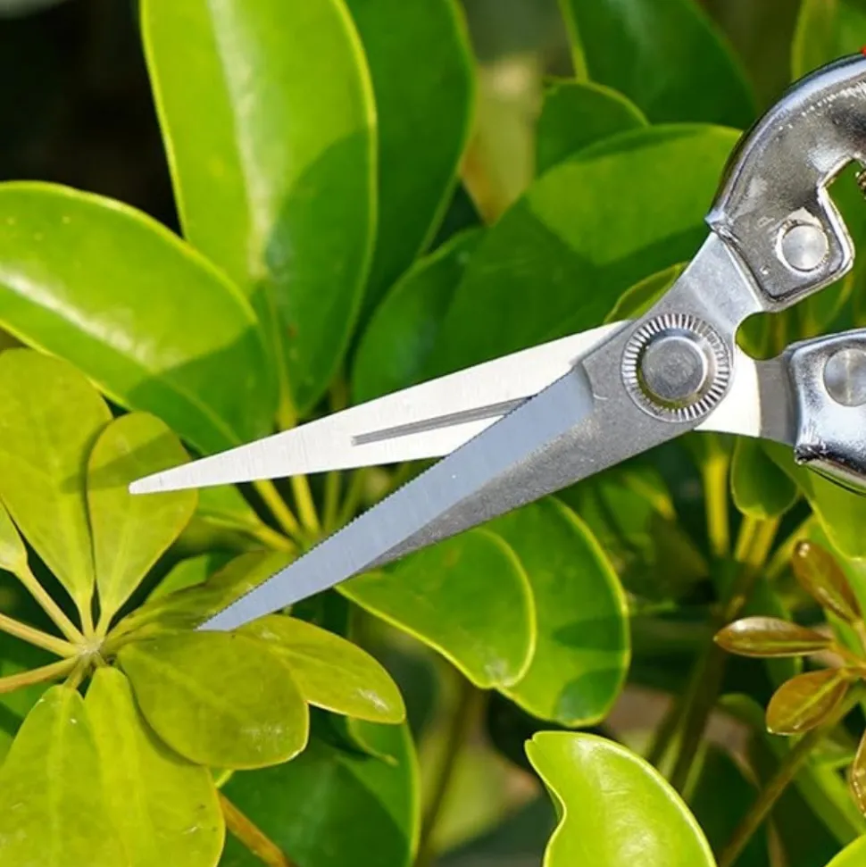DTOPBUYAGE - Sécateur rouge pour taille branches et fleurs