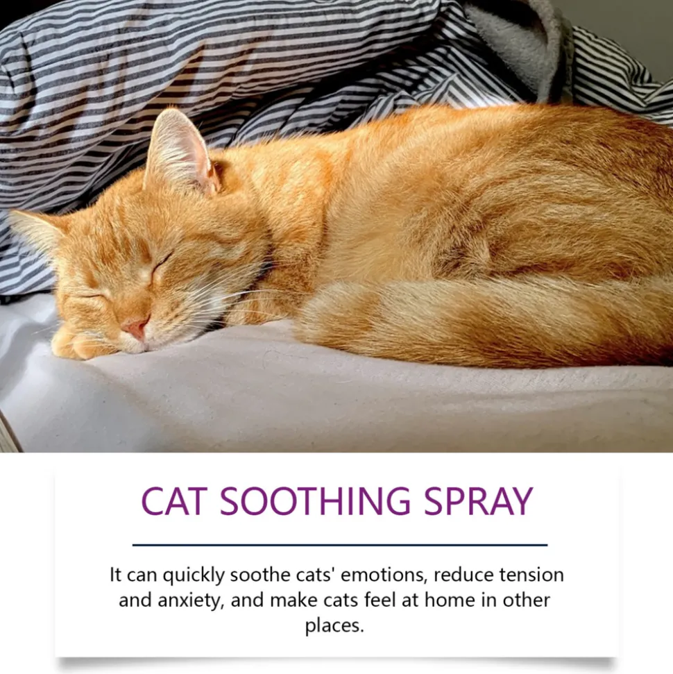 DTOPBUYAGE - Spray d'apaisement pour chat, 60 ml - dtopbuyage