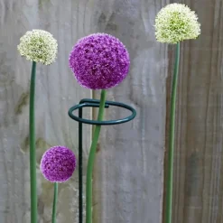DTOPBUYAGE - Supports pour fleurs en fer forgé 35cm, 10 pièces dtopbuyage