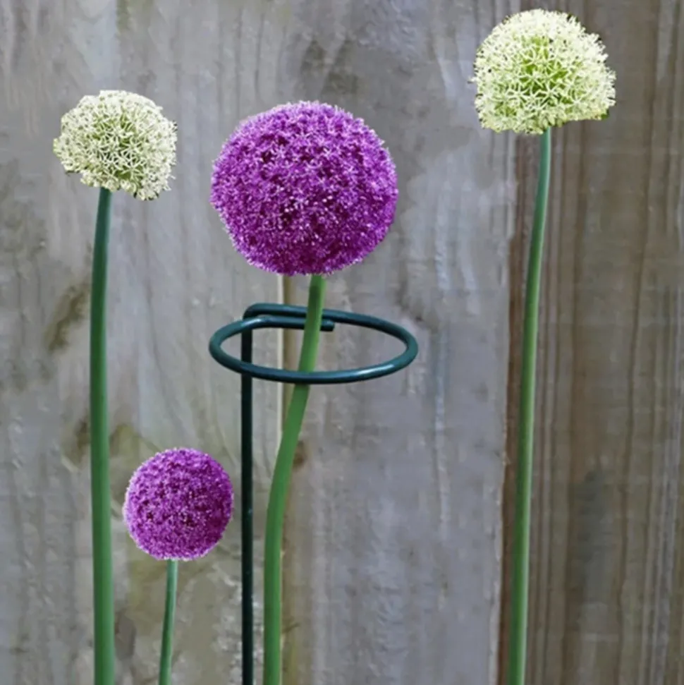 DTOPBUYAGE - Supports pour fleurs en fer forgé 35cm, 10 pièces dtopbuyage