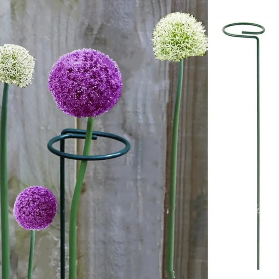 DTOPBUYAGE - Supports pour fleurs en fer forgé 25cm, 10 pièces dtopbuyage