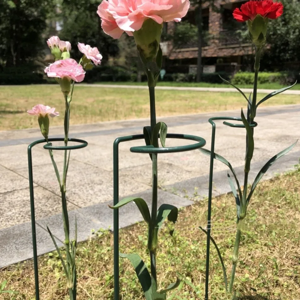 DTOPBUYAGE - Supports pour fleurs en fer forgé 25cm, 10 pièces dtopbuyage