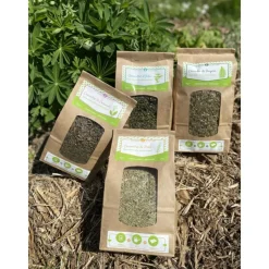 ECO CONSEILS - Concentré de fougère