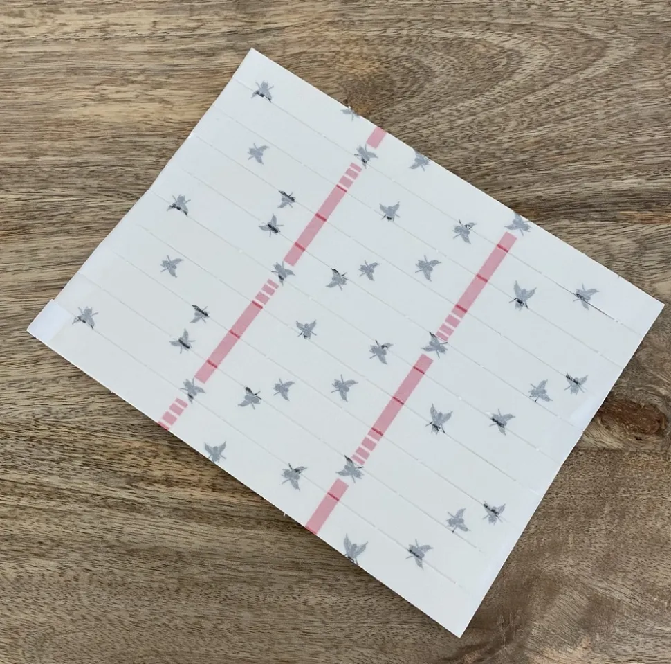 ECODIS - 10 bandes attrape-mouches