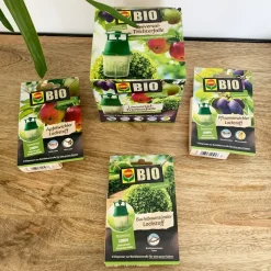 ECODIS - Attractif pyrale du buis bio