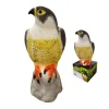 EDM - Répulsif oiseau faucon 18x41x18cm edm