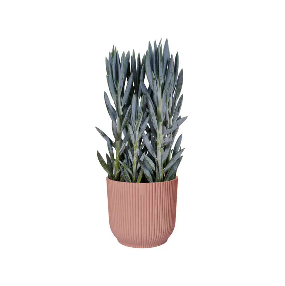 ELHO - Cache-pot "Vibes fold", coloris rose poudré - D.22cm