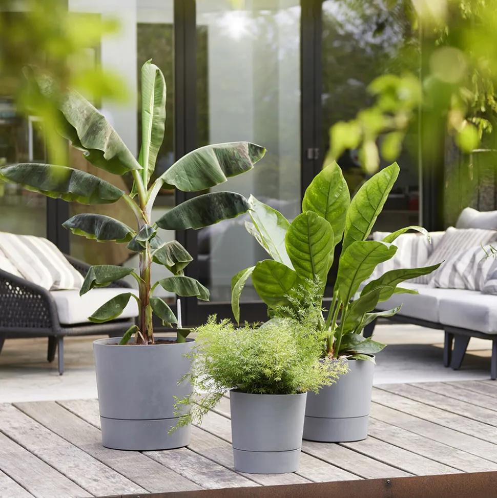ELHO - Pot Greensense Aqua Care ciment rond, avec Réservoir d'eau - D.35cm