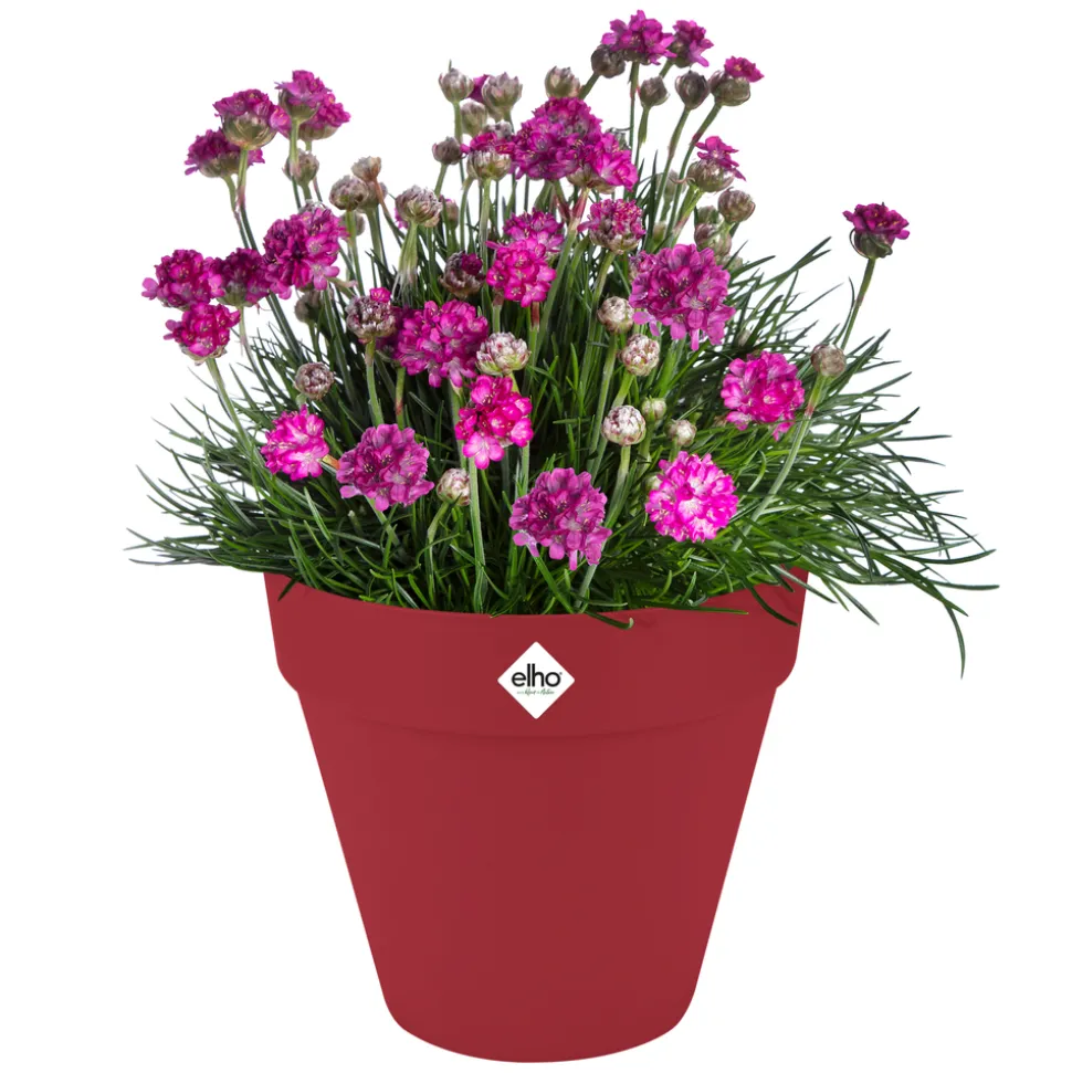 ELHO - Pot Loft rond à réserve d'eau, coloris rouge théâtre - D.19,3xH.17,5cm