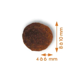 EMPREINTES - Croquettes pour Chien senior de petite taille poulet sans céréales 3kg