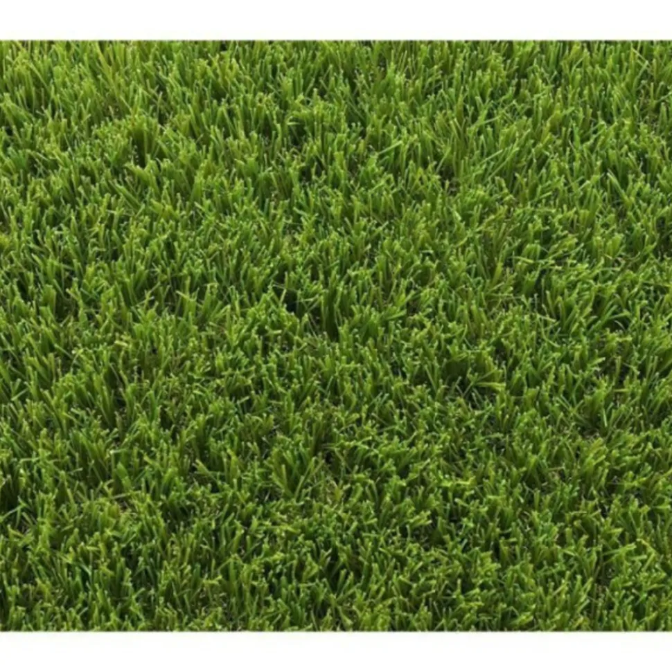 EXELGREEN - Gazon artificiel - synthetique - decoration - - 123103 - park 40 mm - 1 x 5m