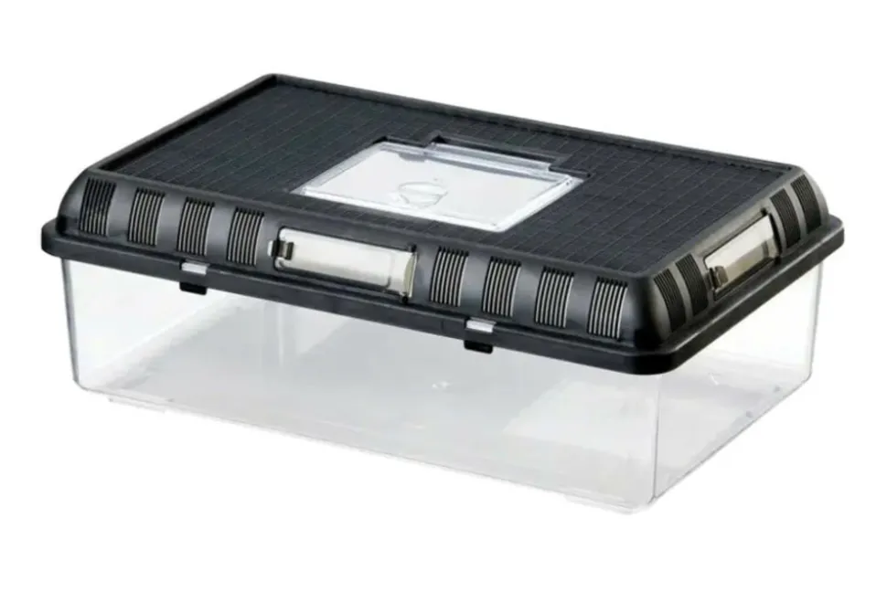EXO TERRA - Boite d'élevage - breeding box - large - boîte de transport ou d'élevage pour reptiles (lézards, serpents, tortues), amphibiens