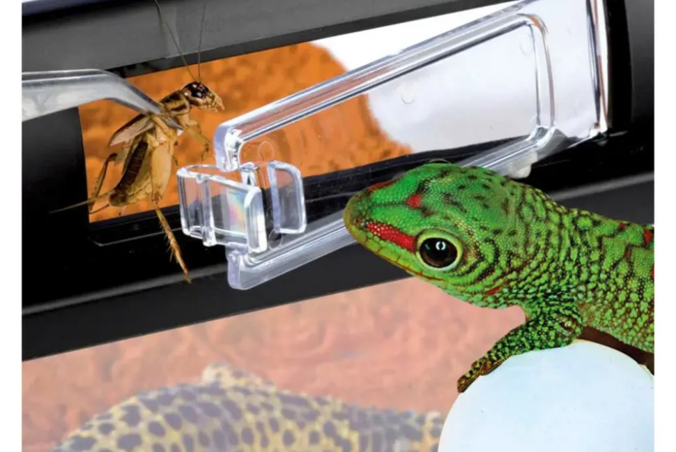 EXO TERRA - Boite d'élevage - breeding box - large - boîte de transport ou d'élevage pour reptiles (lézards, serpents, tortues), amphibiens