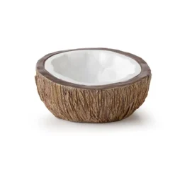 EXO TERRA - Bol à eau en forme de noix de coco reptiles