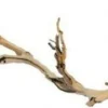 EXO TERRA - Branche de vigne sable reptiles moyen