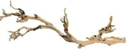 EXO TERRA - Branche de vigne sable reptiles moyen