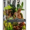 EXO TERRA - Exo terra terr/paludarium mini/x-tall, 30x30x60cm
