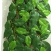 EXO TERRA - Feuillage ficus reptiles petit