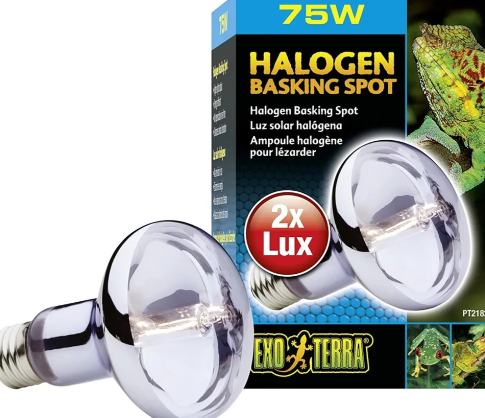 EXO TERRA - Lampe halogen basking spot 100w reptiles