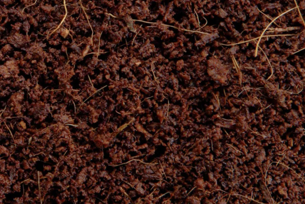 EXO TERRA - Plantation soil - brique de fibre de coco