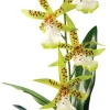 EXO TERRA - Plante de décoration orchidee