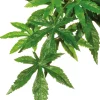 EXO TERRA - Plantes rainforest à suspendre feuillage abutilon petit