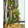 EXO TERRA - Terrarium en Verre pour Reptiles et Amphibiens/paludarium s/x-tall