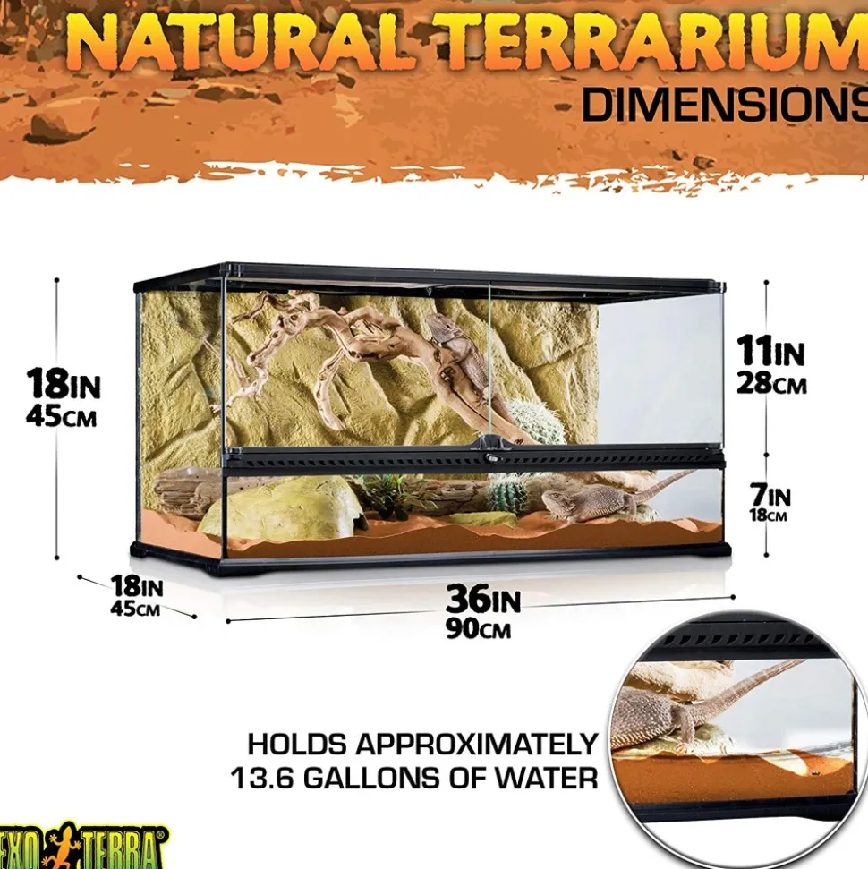 EXO TERRA - Terrarium en Verre pour Reptiles et Amphibiens/paludarium s/x-tall