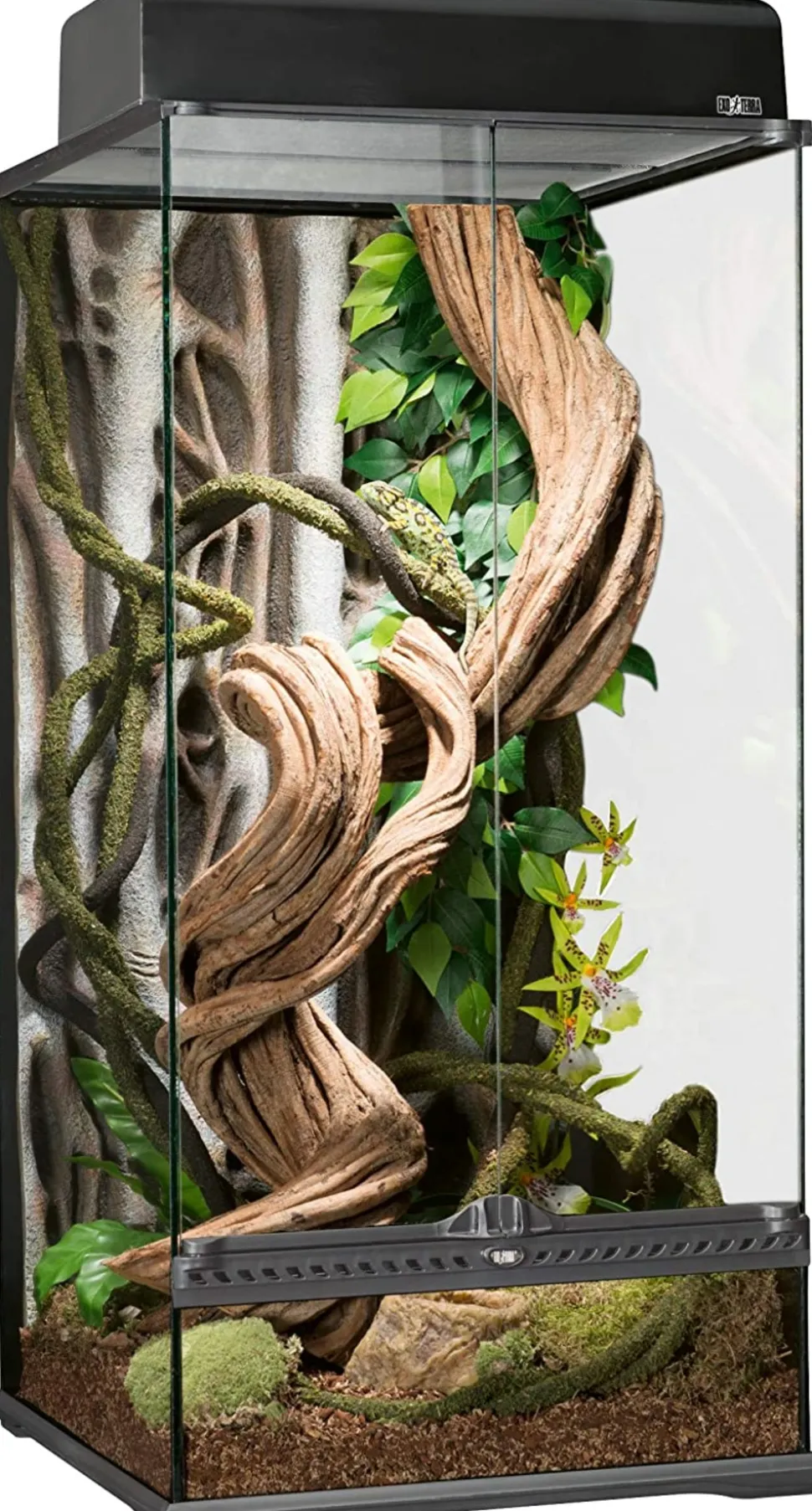 EXO TERRA - Terrarium en Verre pour Reptiles et Amphibiens/paludarium s/x-tall