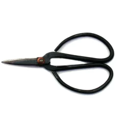 EXOTENHERZ - Ciseaux bonsaïs - 11cm de long noir