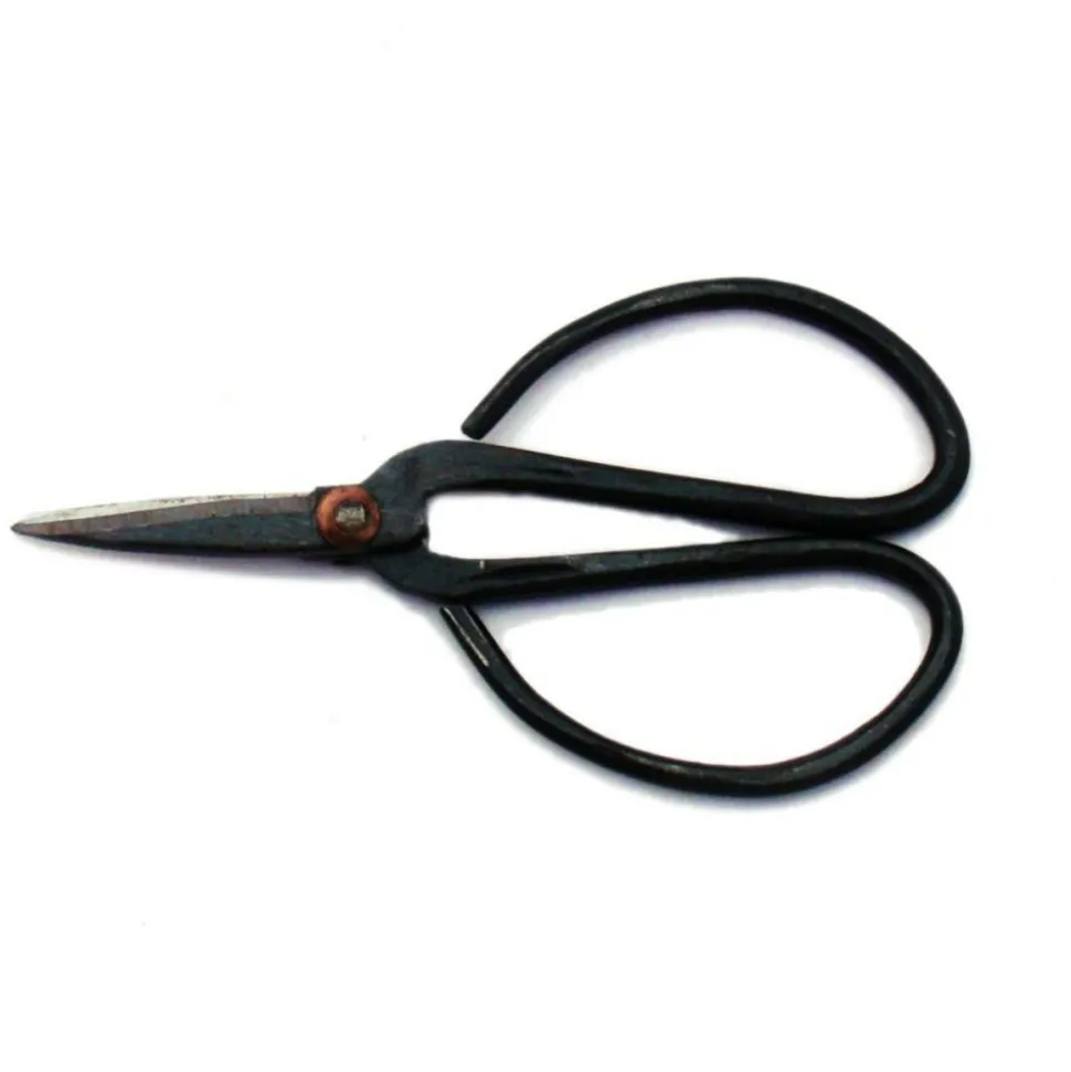 EXOTENHERZ - Ciseaux bonsaïs - 11cm de long noir