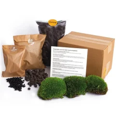 EXOTENHERZ - Green your bottle - kit complet pour ton propre jardin de bouteilles - kit de démarrage sans verre - sans plantes