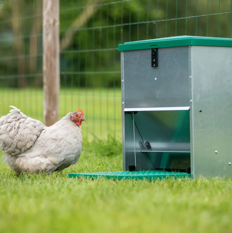 FEEDOMATIC - Mangeoire renforcée 12 kg, anti-rats pour 6 poules