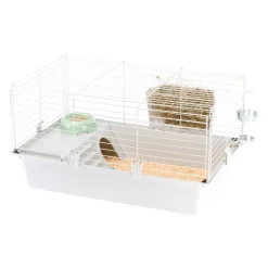 FERPLAST - Cage spacieuse pour cochons d'inde cavie 80, système de fermeture sécurité, accessoires inclus, en métal vernis gris et plastique