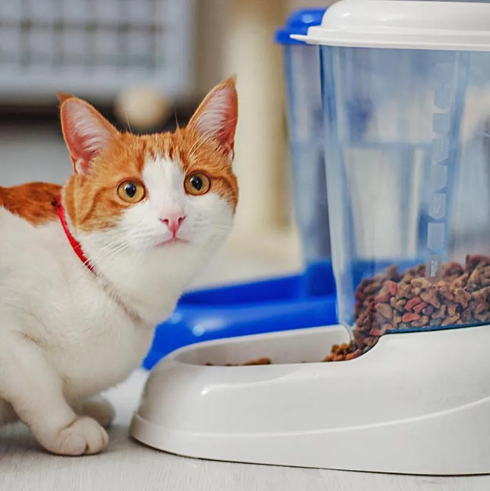 FERPLAST - Ferplast distributeur de croquettes pour chiens et chats zenith, 3 litres, distributeur de croquettes pour animaux, fond