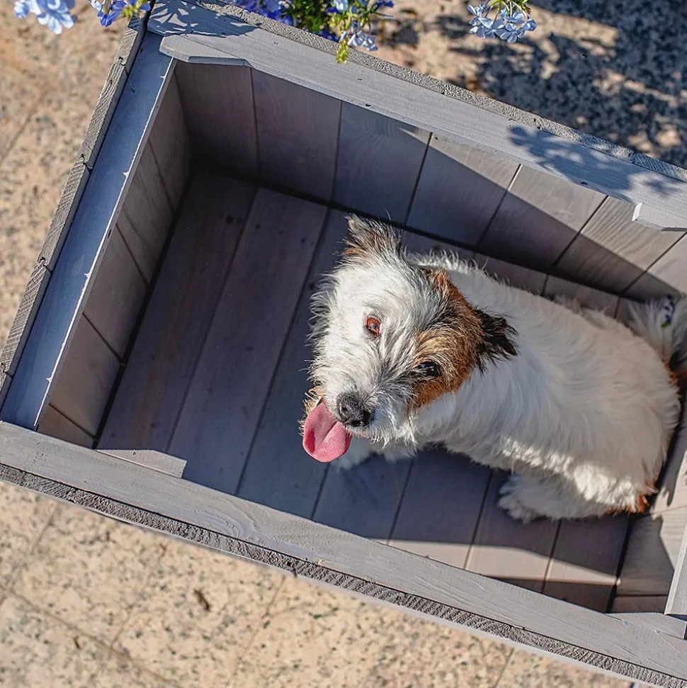 FERPLAST - Niche pour extérieur, maison pour chiens argo 60 en bois fsc avec vernis atoxique, résistant aux u.v.