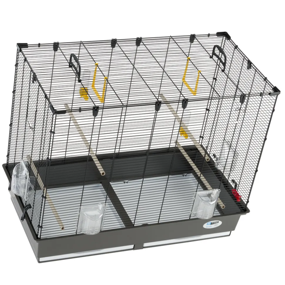 Ferplast grande cage pour canaris, perruches et oiseaux exotiques piano 6, avec mangeoires pivotantes et accessoires