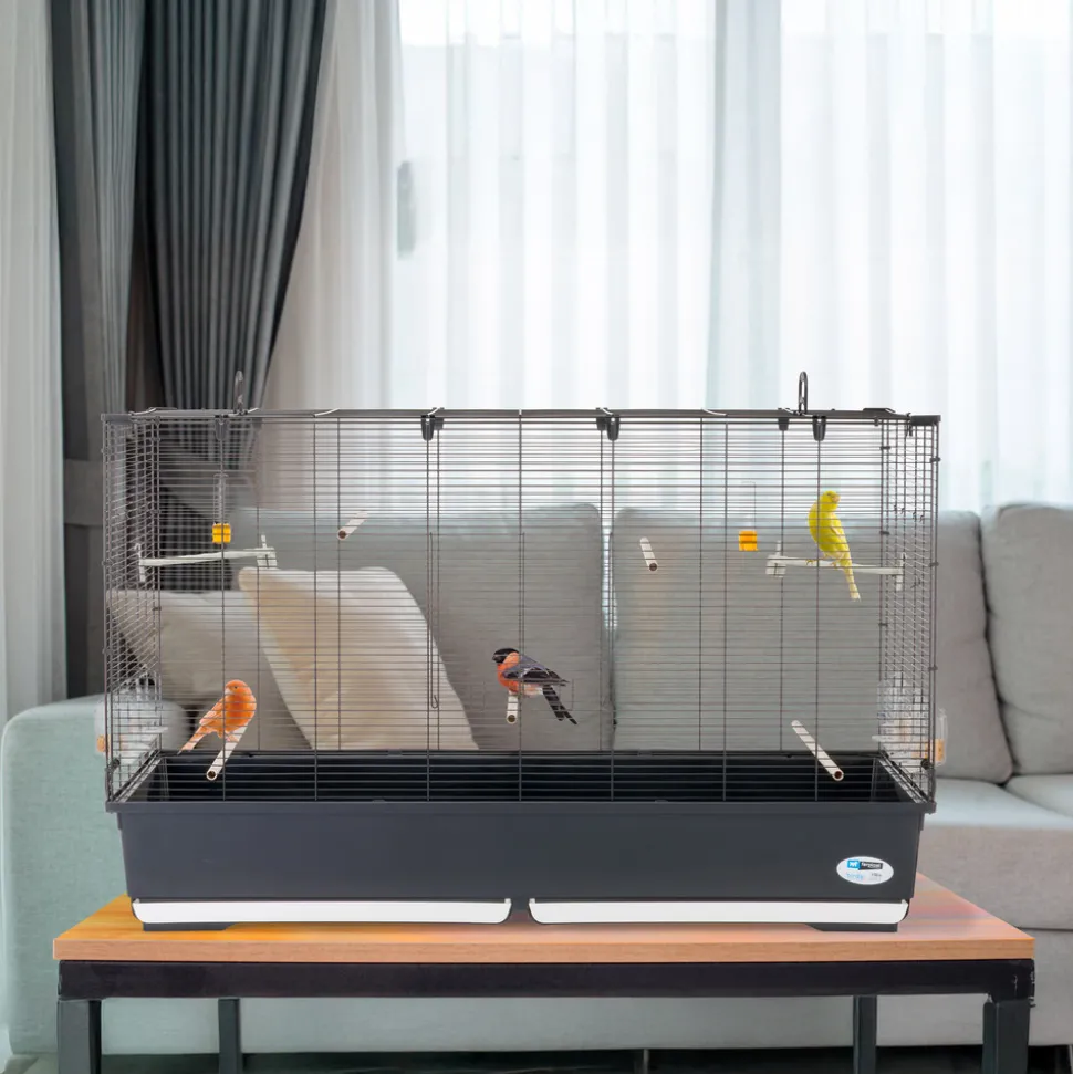 Ferplast volière cage à oiseaux piano 8 grande cage pour oiseaux, canaris, pinsons, perruches ondulées, inséparables, en métal,