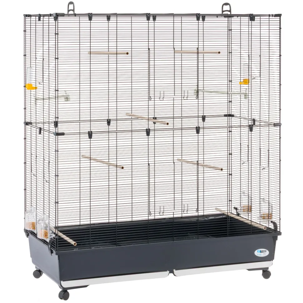 Ferplast volière cage à oiseaux planeta large grande cage pour canaris, pinsons, perruches ondulées, inséparables, métal,