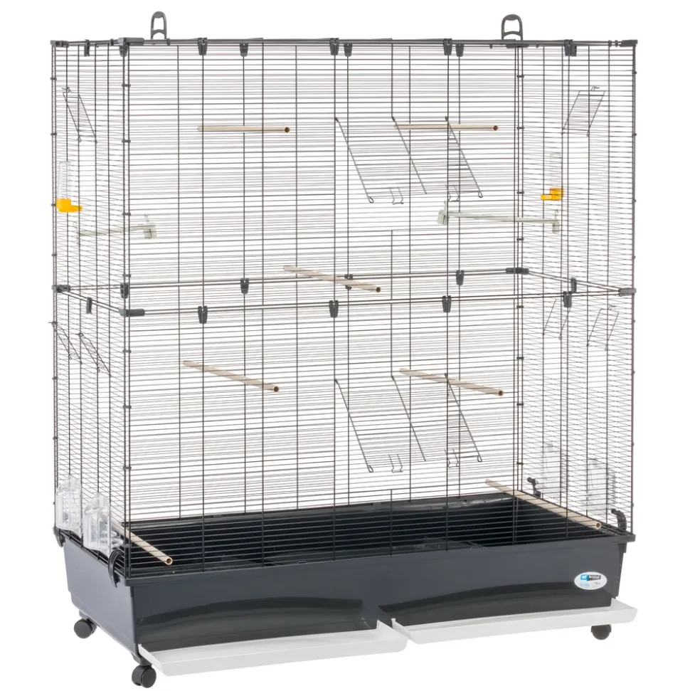 Ferplast volière cage à oiseaux planeta large grande cage pour canaris, pinsons, perruches ondulées, inséparables, métal,