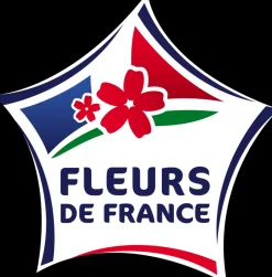 FLEURON D'ANJOU - Hedera varie pot 10,5 cm
